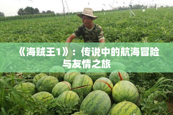 《海贼王1》：传说中的航海冒险与友情之旅