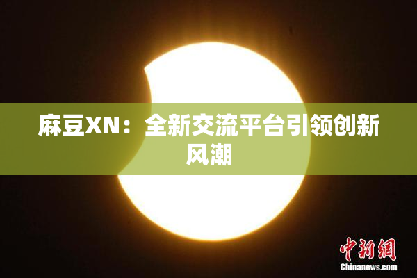 麻豆XN：全新交流平台引领创新风潮