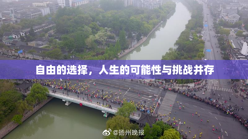 自由的选择，人生的可能性与挑战并存