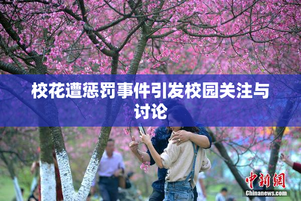 校花遭惩罚事件引发校园关注与讨论