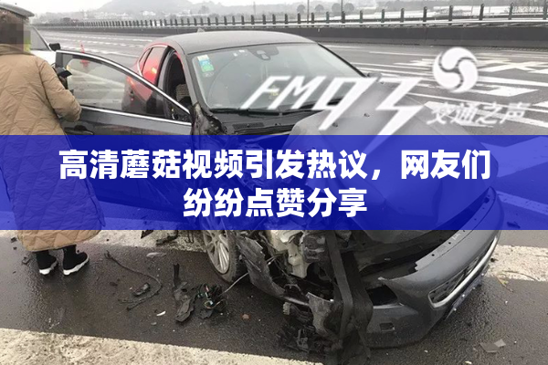 高清蘑菇视频引发热议，网友们纷纷点赞分享
