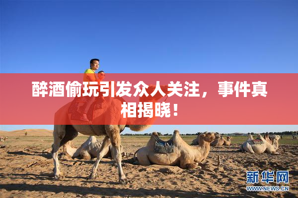 醉酒偷玩引发众人关注，事件真相揭晓！