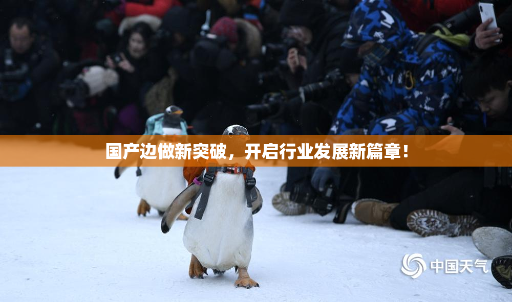 国产边做新突破，开启行业发展新篇章！