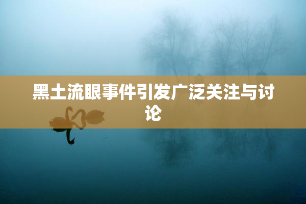 黑土流眼事件引发广泛关注与讨论