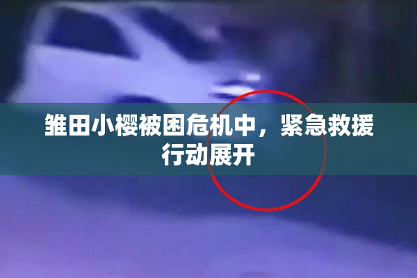雏田小樱被困危机中，紧急救援行动展开