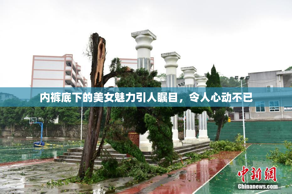 内裤底下的美女魅力引人瞩目，令人心动不已