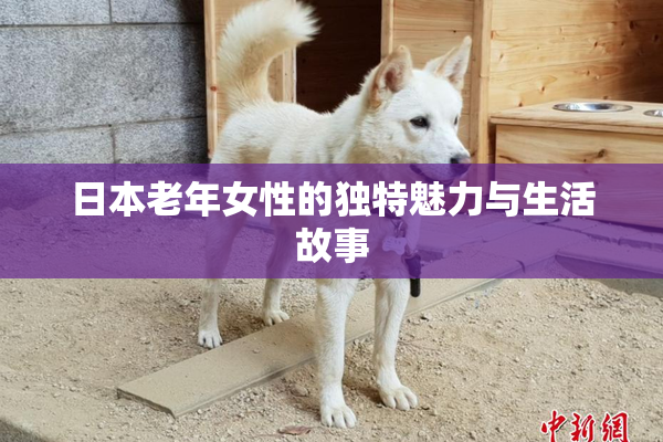 日本老年女性的独特魅力与生活故事