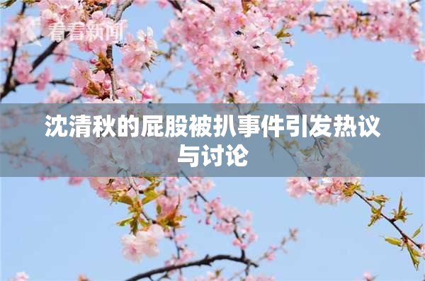 沈清秋的屁股被扒事件引发热议与讨论