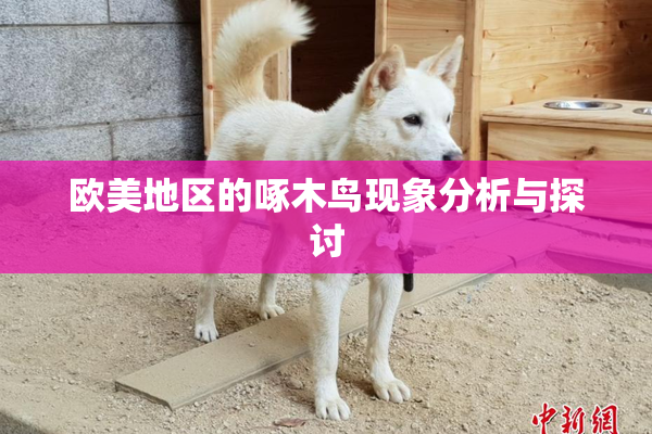 欧美地区的啄木鸟现象分析与探讨