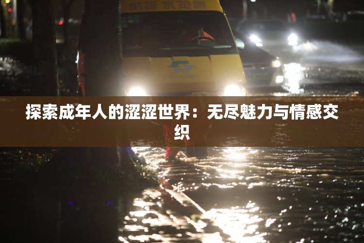 探索成年人的涩涩世界：无尽魅力与情感交织