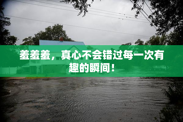 羞羞羞，真心不会错过每一次有趣的瞬间！