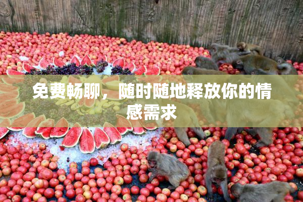 免费畅聊，随时随地释放你的情感需求