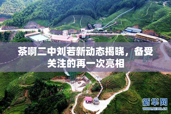 茶啊二中刘若新动态揭晓，备受关注的再一次亮相