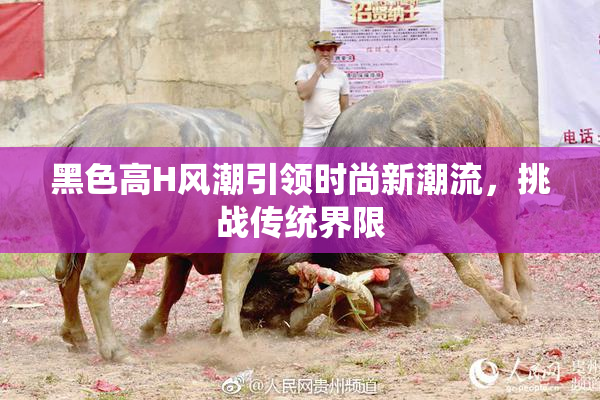 黑色高H风潮引领时尚新潮流，挑战传统界限