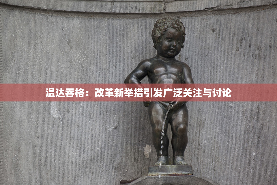 温达吞格：改革新举措引发广泛关注与讨论