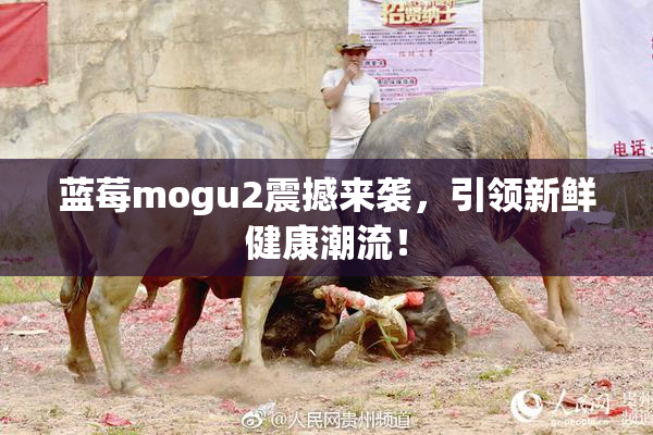 蓝莓mogu2震撼来袭，引领新鲜健康潮流！