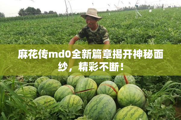 麻花传md0全新篇章揭开神秘面纱，精彩不断！
