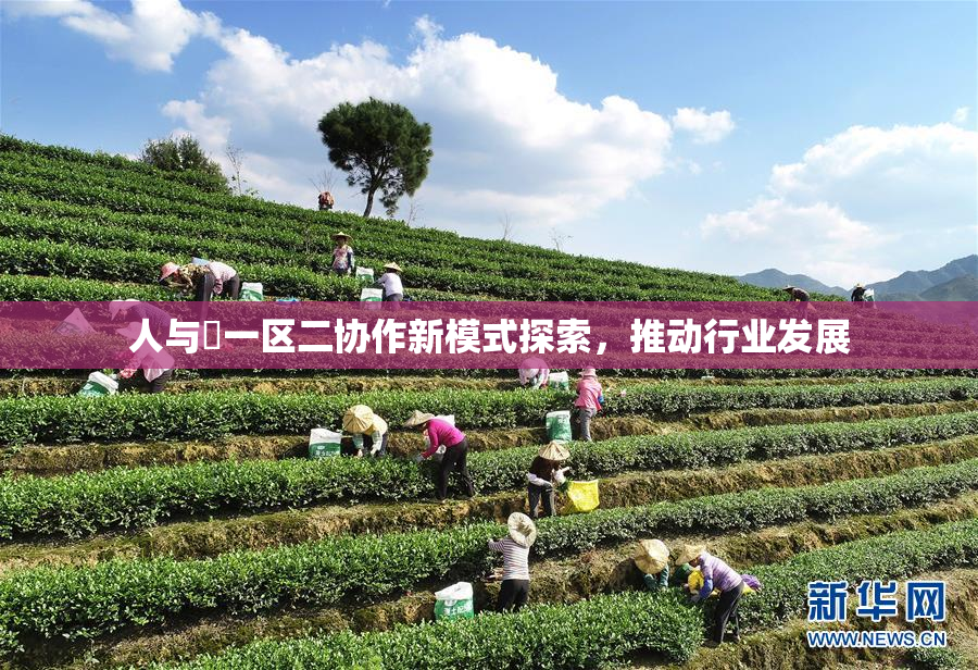 人与嘼一区二协作新模式探索，推动行业发展