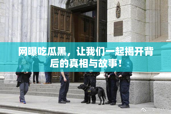 网曝吃瓜黑，让我们一起揭开背后的真相与故事！