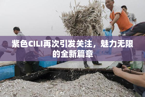 紫色CILI再次引发关注，魅力无限的全新篇章