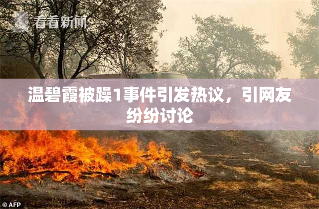 温碧霞被躁1事件引发热议，引网友纷纷讨论
