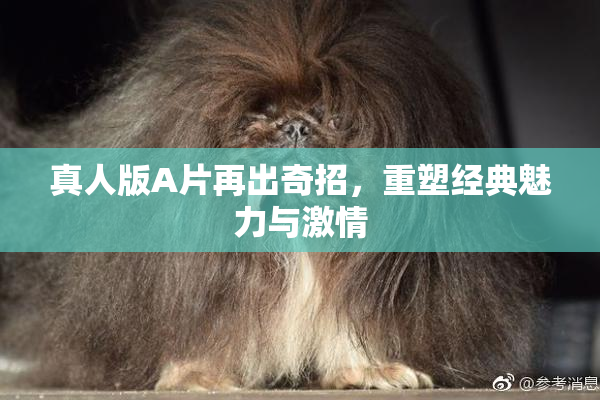 真人版A片再出奇招，重塑经典魅力与激情