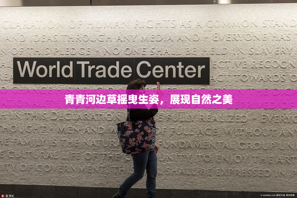 青青河边草摇曳生姿，展现自然之美
