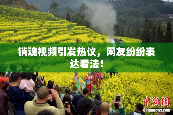 销魂视频引发热议，网友纷纷表达看法！