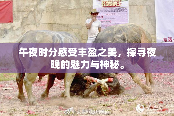 午夜时分感受丰盈之美，探寻夜晚的魅力与神秘。