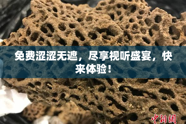 免费涩涩无遮，尽享视听盛宴，快来体验！