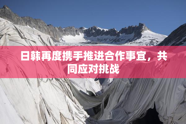 日韩再度携手推进合作事宜，共同应对挑战