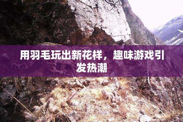 用羽毛玩出新花样，趣味游戏引发热潮