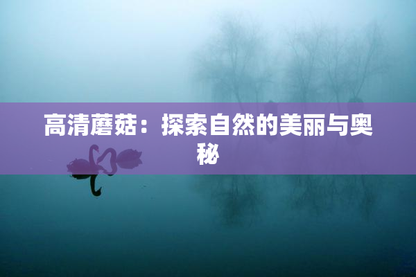 高清蘑菇：探索自然的美丽与奥秘