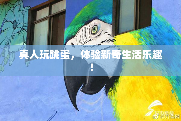 真人玩跳蛋，体验新奇生活乐趣！