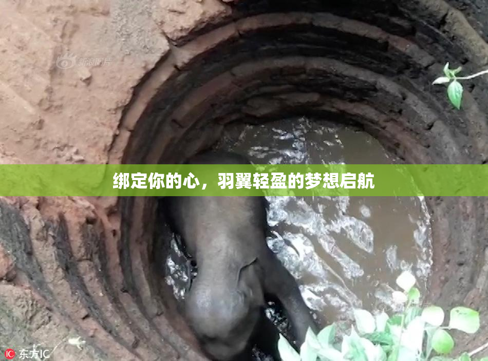 绑定你的心，羽翼轻盈的梦想启航