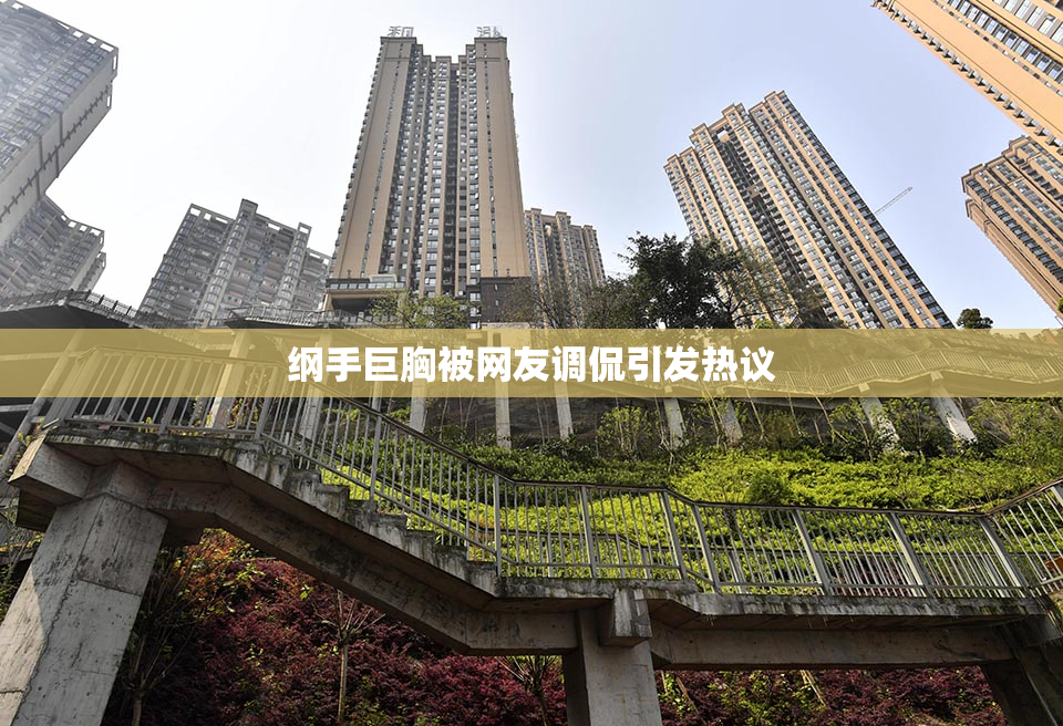 纲手巨胸被网友调侃引发热议