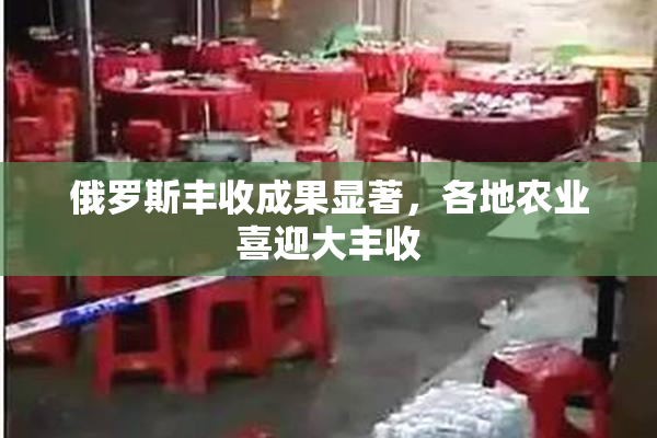 俄罗斯丰收成果显著，各地农业喜迎大丰收