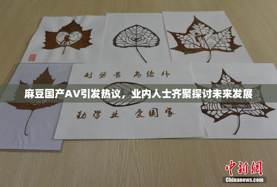 麻豆国产AV引发热议，业内人士齐聚探讨未来发展