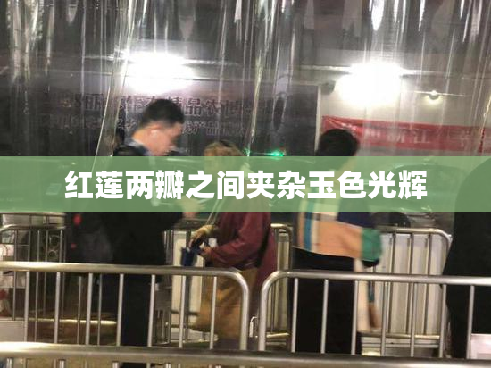 红莲两瓣之间夹杂玉色光辉