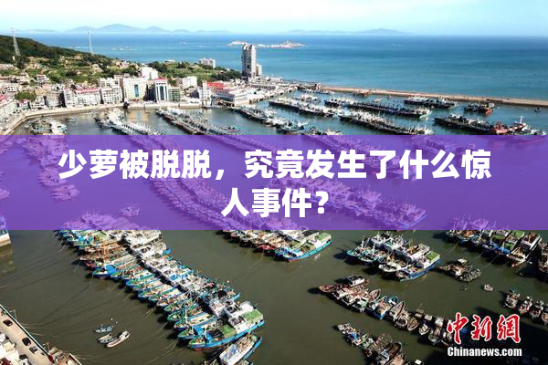 少萝被脱脱，究竟发生了什么惊人事件？