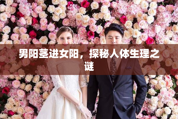 男阳茎进女阳，探秘人体生理之谜