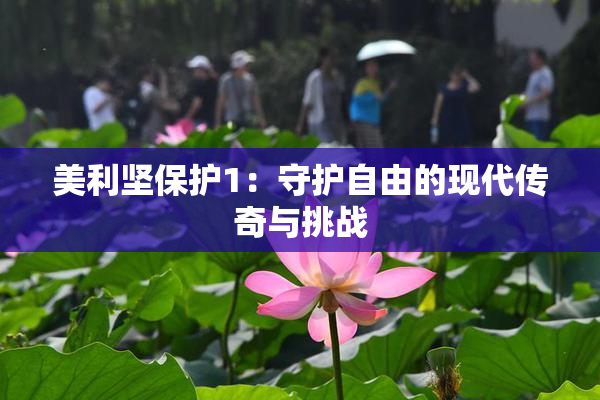 美利坚保护1：守护自由的现代传奇与挑战