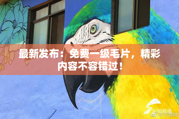 最新发布：免费一级毛片，精彩内容不容错过！