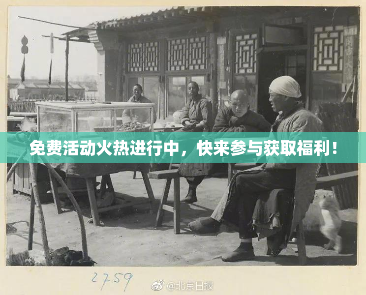 免费活动火热进行中，快来参与获取福利！