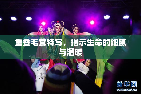 重叠毛茸特写，揭示生命的细腻与温暖