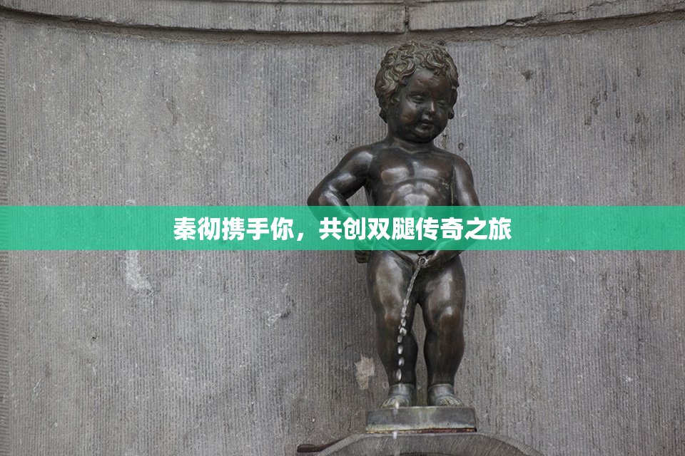 秦彻携手你，共创双腿传奇之旅