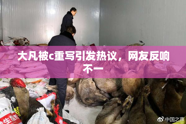 大凡被c重写引发热议，网友反响不一