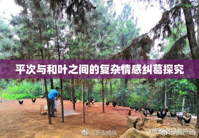 平次与和叶之间的复杂情感纠葛探究