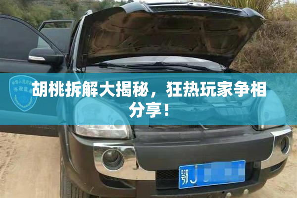 胡桃拆解大揭秘，狂热玩家争相分享！