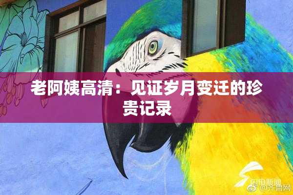 老阿姨高清：见证岁月变迁的珍贵记录